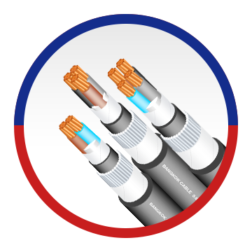 0.6/1 kV XLPE/SWA/LSHF 2,3,4 CORES